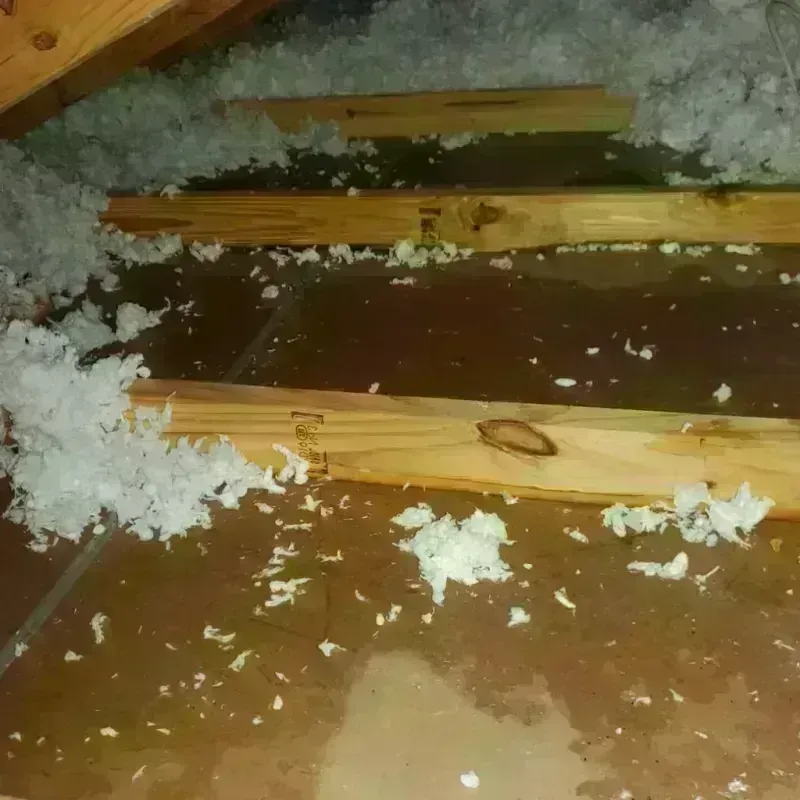 Attic Water Damage in Lenexa, KS