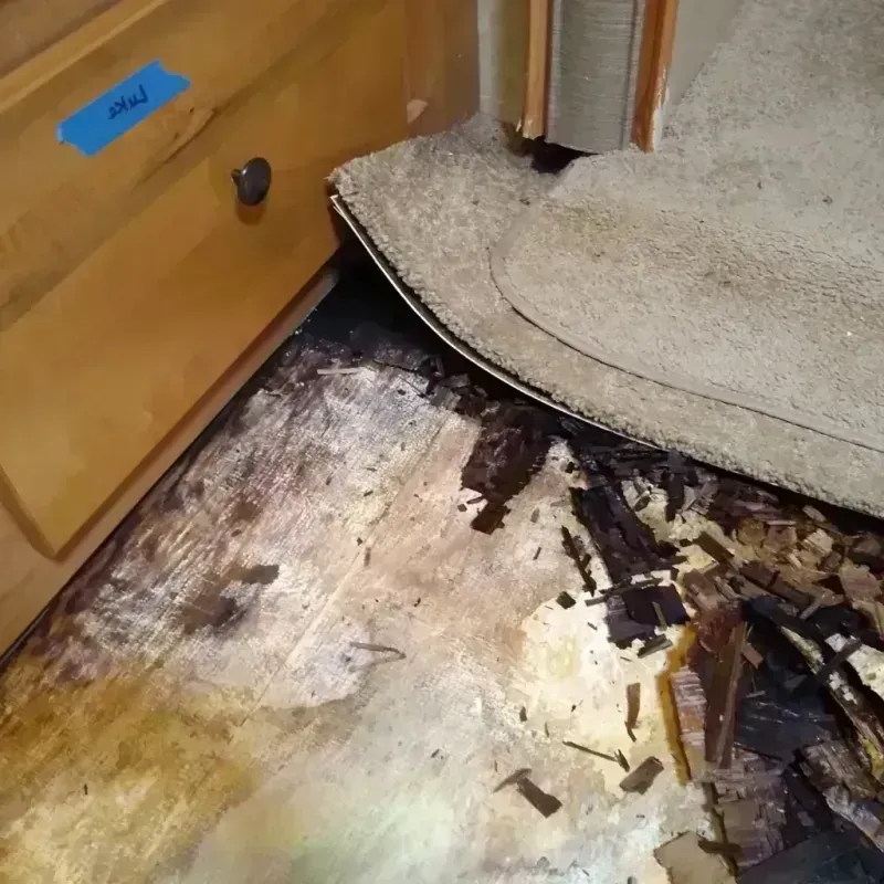 Best Wood Floor Water Damage Service in Lenexa, KS